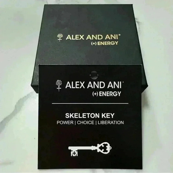 Alex and Ani Skeleton Key Bracelet - Picture 3 of 3